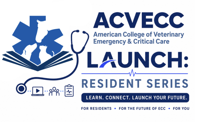 Launch Logo (3)